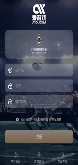 爱游戏体育简介